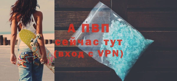 гидра Каменск-Шахтинский