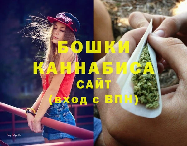 гидра Каменск-Шахтинский