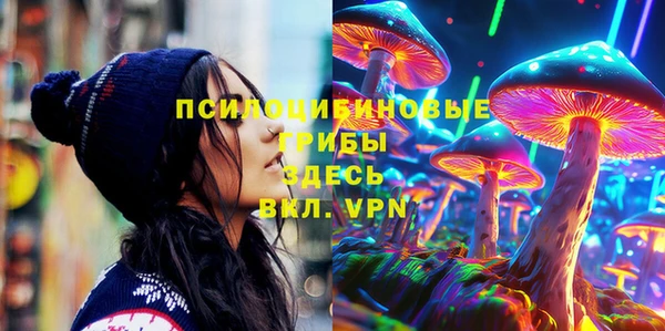 тгк Иннополис