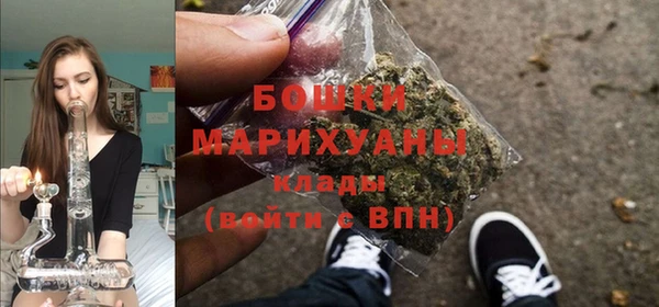 2c-b Каменногорск