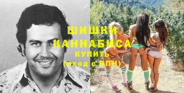 метадон Инсар