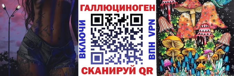 Купить где  Грайворон  Псилоцибиновые грибы мицелий 